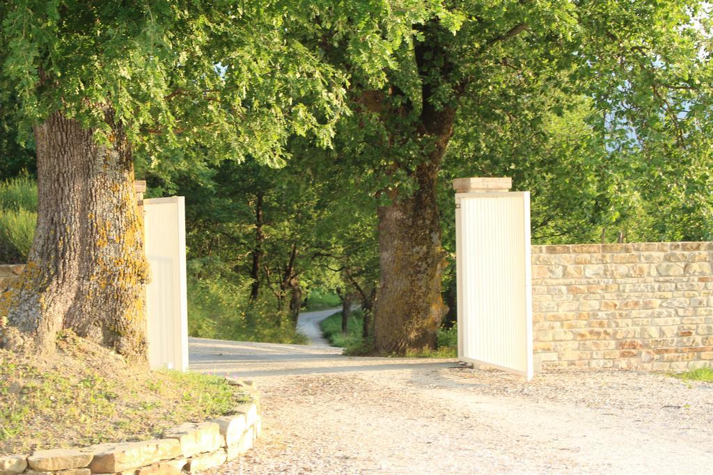 Serra San Quirico Amico Country House المظهر الخارجي الصورة