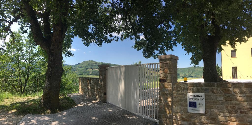 Serra San Quirico Amico Country House المظهر الخارجي الصورة