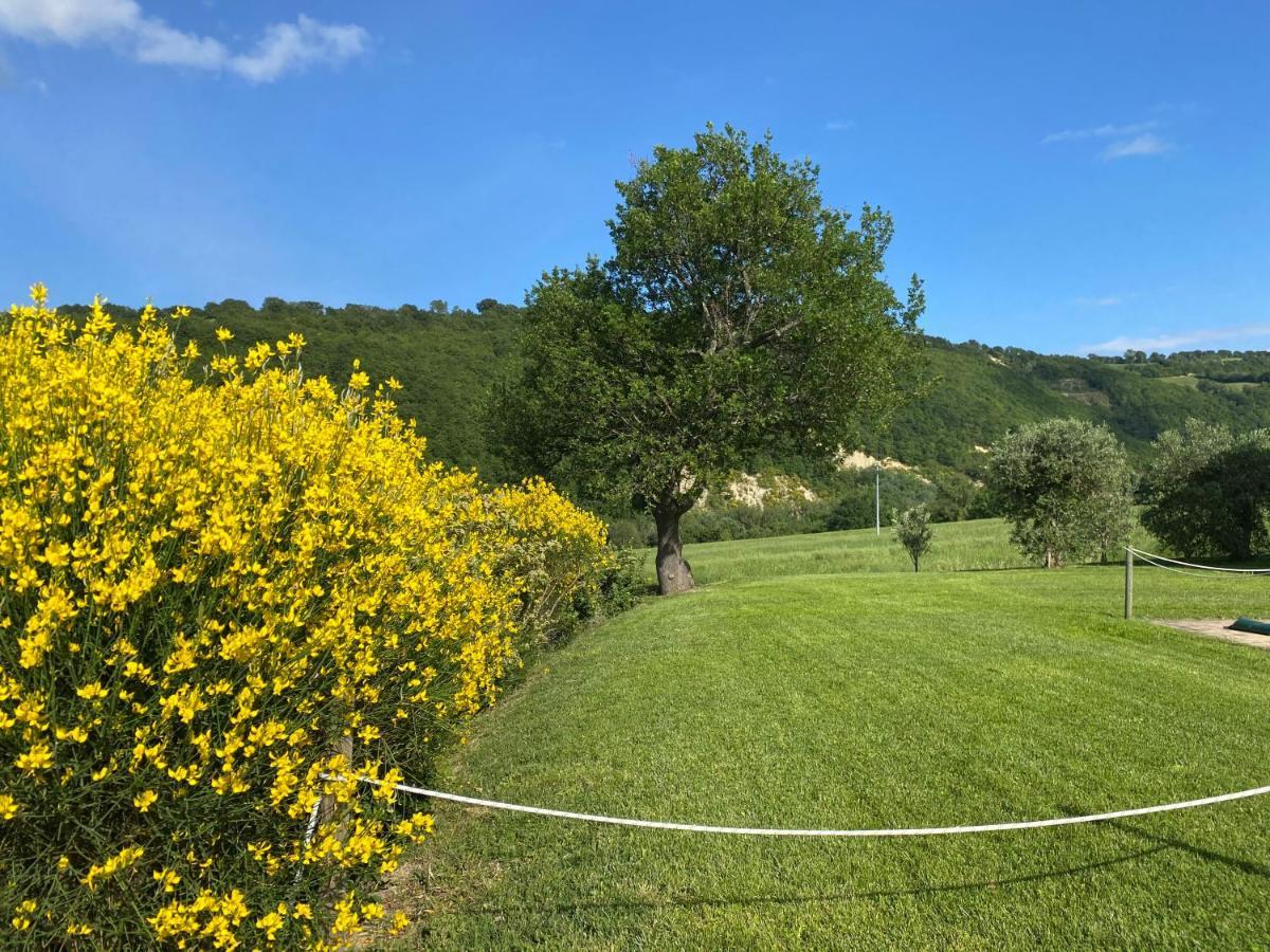 Serra San Quirico Amico Country House المظهر الخارجي الصورة