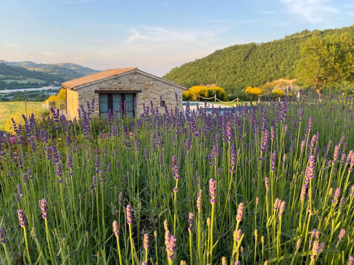 Serra San Quirico Amico Country House المظهر الخارجي الصورة